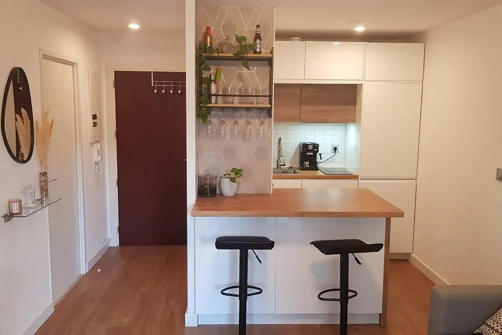 Apartment Residence Avec Parking Et Piscine - Proche Airport Blagnac France